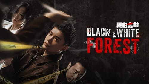 Black & White Forest still