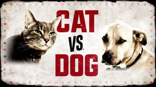 Cat vs. Dog still