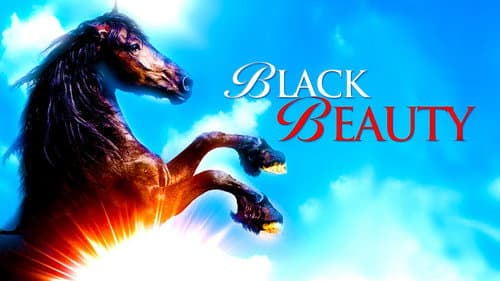 Black Beauty still