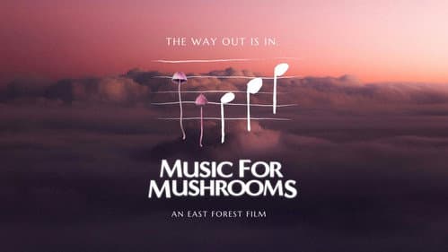 Music for Mushrooms still