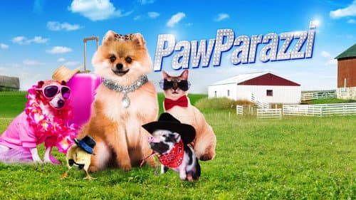 PawParazzi still