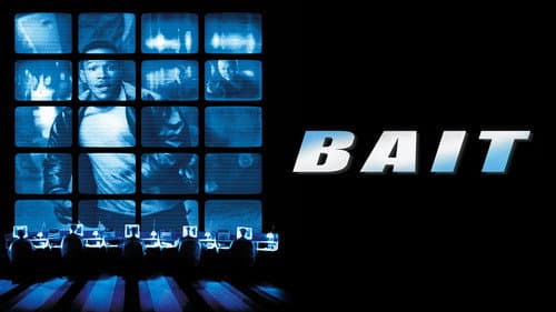 Bait still