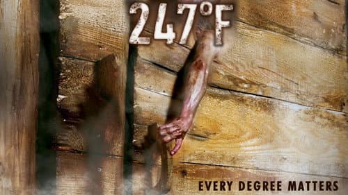 247°F still