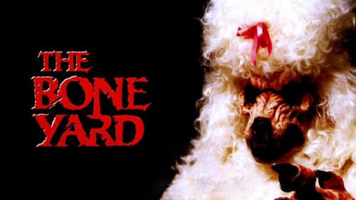The Boneyard still