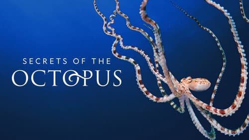 Secrets of the Octopus still