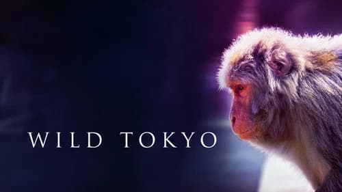 Wild Tokyo still