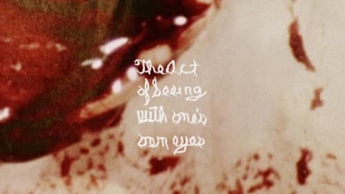 The Act of Seeing with One's Own Eyes still