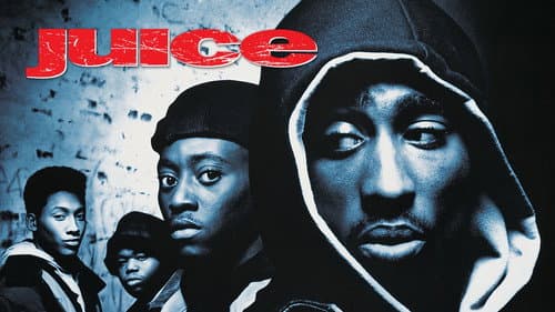 Juice still