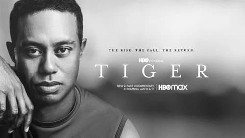 Tiger still