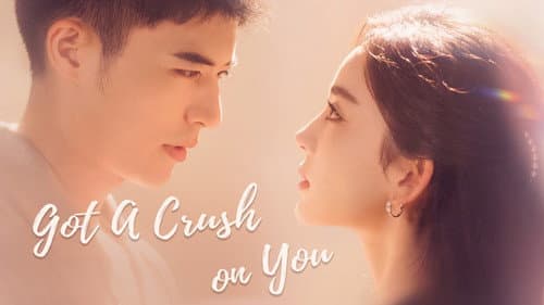 Got a Crush on You still