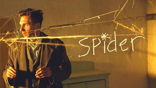 Spider still