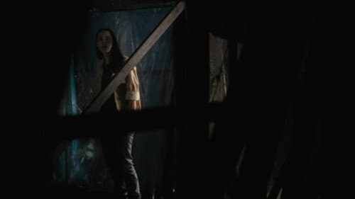 The Night House still