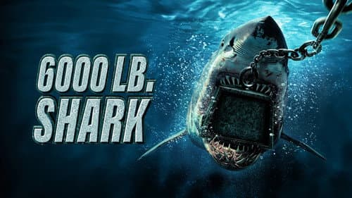 6000-LB. Shark still