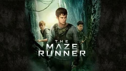 The Maze Runner still