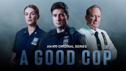 A Good Cop still