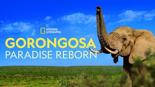Gorongosa: Paradise Reborn still