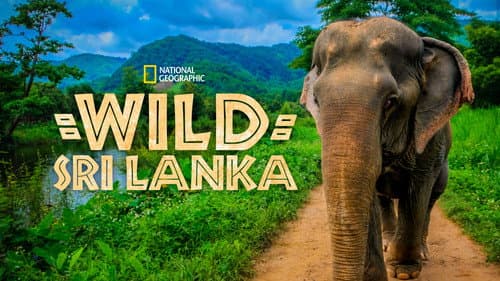 Wild Sri Lanka still