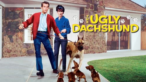 The Ugly Dachshund still