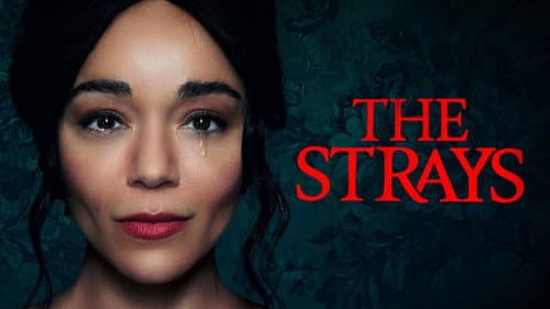 The Strays still