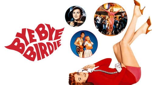 Bye Bye Birdie still