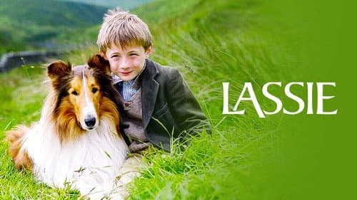 Lassie still