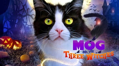 Moo Moo and the Three Witches still
