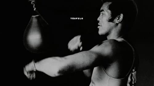 Teofilo: Boxing's Most Revolutionary Champion still