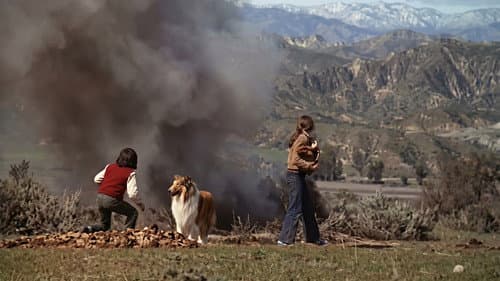Lassie: The New Beginning still