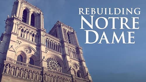Rebuilding Notre-Dame still