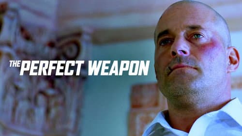 The Perfect Weapon still
