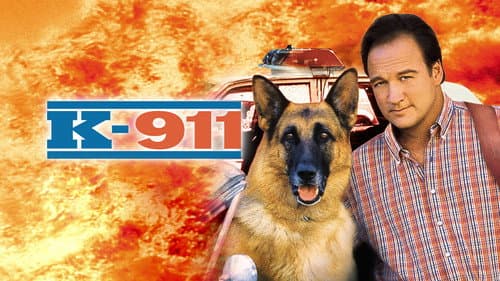 K-911 still