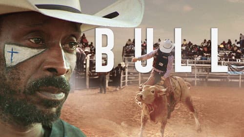 Bull still