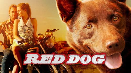 Red Dog still