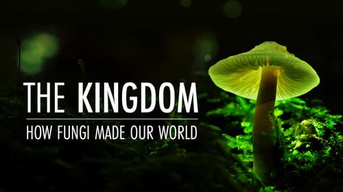 The Kingdom: How Fungi Made Our World still