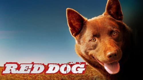Red Dog still