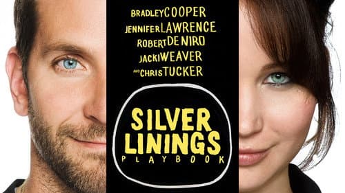 Silver Linings Playbook still