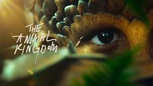 The Animal Kingdom still