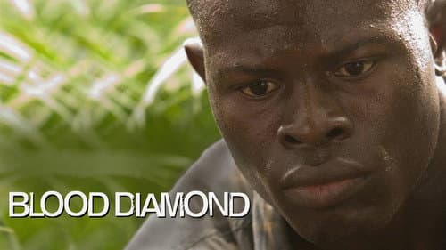 Blood Diamond still