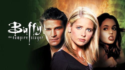 Buffy the Vampire Slayer still
