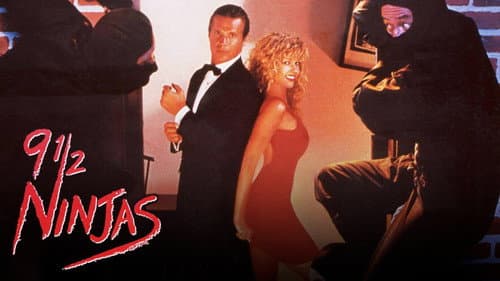 9 1/2 Ninjas! still