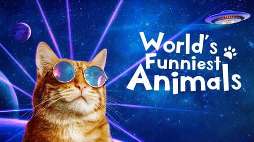 World's Funniest Animals still
