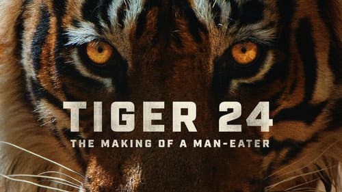 Tiger 24 still