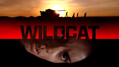 Wildcat still