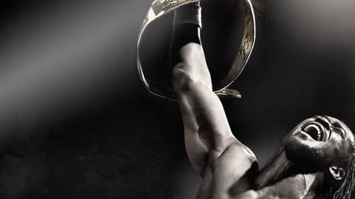 WWE Night of Champions 2013 still