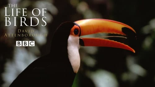 The Life of Birds still