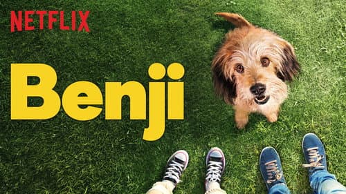 Benji still