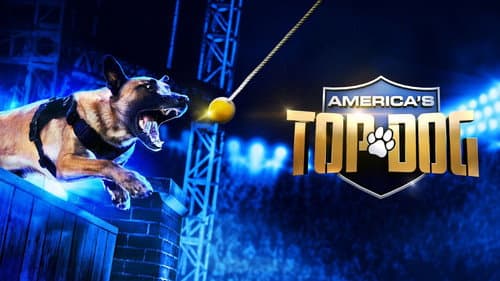 America's Top Dog still