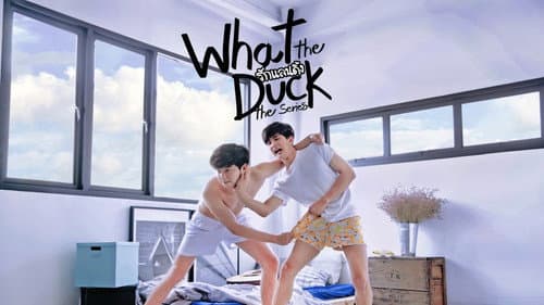What the Duck still
