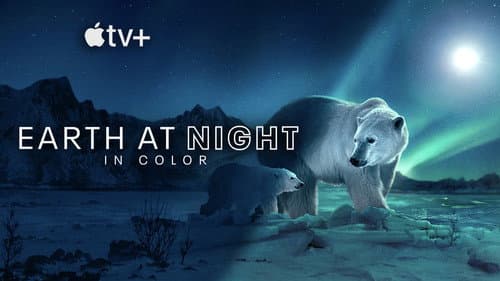 Earth at Night in Colour still