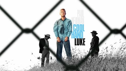 Cool Hand Luke still